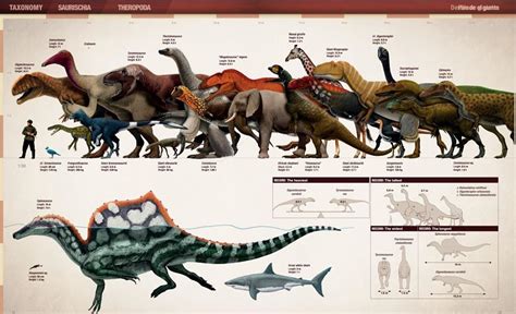 Size Comparison From The Book The Encyclopedia Of Dinosaurs The