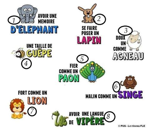 Expressions Avec Animaux French Expressions Travel Expressions French