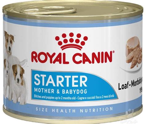 Royal Canin Starter Mousse Baby Dog Food Can 195g Dog The Pet