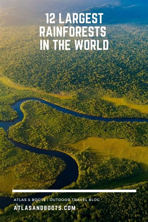 12 Largest Rainforests In The World And Where To Find Them Atlas And Boots