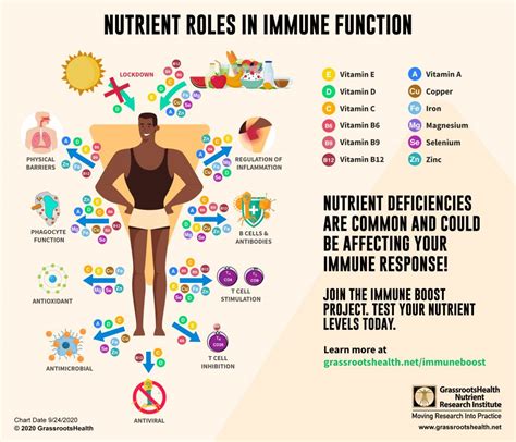 Immune Cells Need Nutrients An Infographic To Share Grassrootshealth