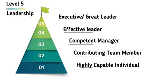 What Are The Different Types Of Leadership Levels And How To Progress