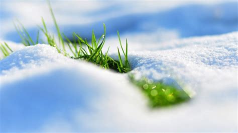 Spring Snow Wallpapers Top Free Spring Snow Backgrounds Wallpaperaccess