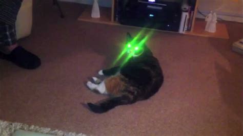 Evil Laser Eye Cat Youtube