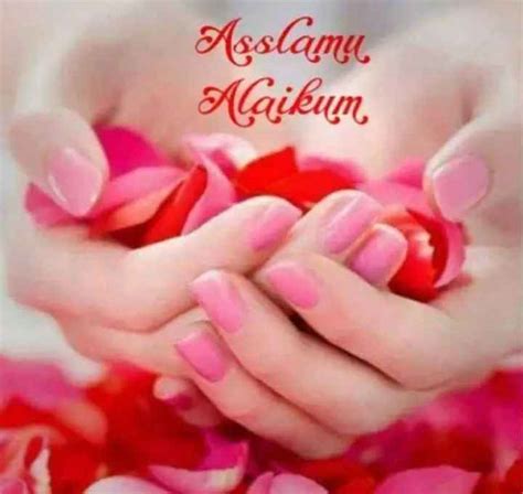 We did not find results for: 43+ Assalamualaikum Warahmatullahi Wabarakatuh Images Hd ...
