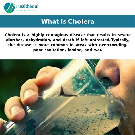 Cholera Symptoms And Treatment Healthsoul