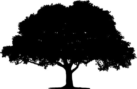 Oak Tree Silhouette Tattoo