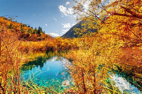 Scenic Pond With Emerald Crystal Water Among Colorful Fall Woods Stock