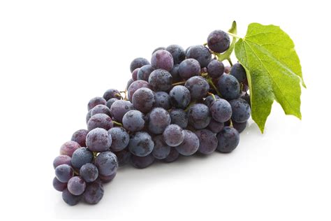 21 Gambar Anggur Percantik Hunian