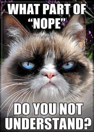 Ata Boy Magnet Grumpy Cat What Part Of Nope Do You Not Understand