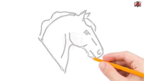 Easy Drawings Of Horses Heads A Simple Horse Head Done Freehand