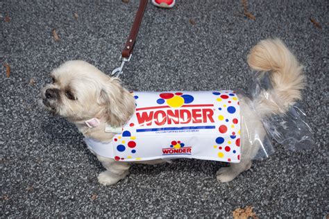 Wonder Bread Dog Costume Home And Geek