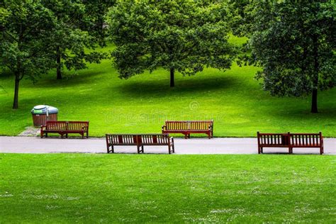 A Beautiful Green City Park Stock Photo Image Of View Tree 213022926