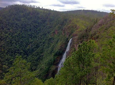 1000 Foot Falls In The Mountain Pine Ridge Of Belize