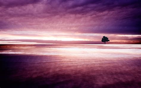 32 Purple Nature Wallpaper Wallpapersafari