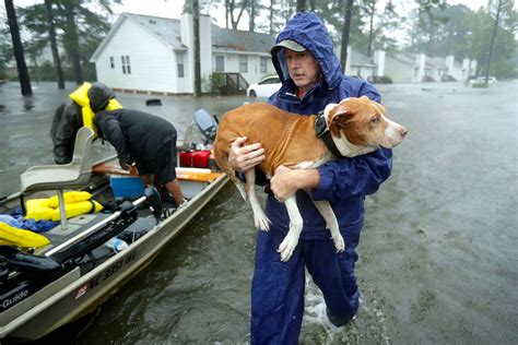 Priceless pet rescue holds its adoption event every saturday, either at the orphanage or other mobile sites. How One Man and His School Bus Are Saving Animals From ...