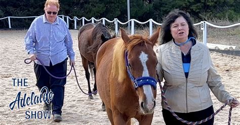 360 Horse Riding And Horse Loving Around Adelaide The Adelaide Show