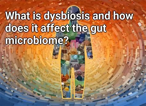 What Is Dysbiosis And How Does It Affect The Gut Microbiome