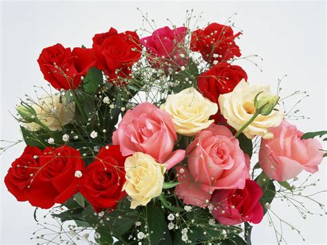 Romantic Flowers Romantic Flowers