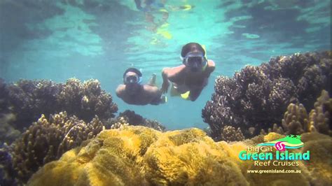 Snorkelling Green Island Great Barrier Reef Tours Youtube