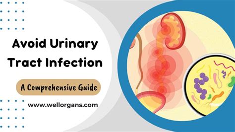 How To Avoid Urinary Tract Infection Well Organs