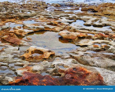 Small Rock Pools In Cratered Sandstone Bondi Beach Australia Stock