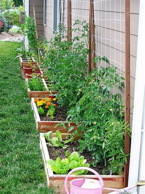 12 Backyard Vegetable Garden Ideas Most Of The Creative As Well As