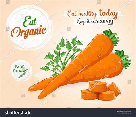 Carrots Leaf Vector Illustration Stock Vector Royalty Free 1339053992