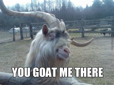 49 Very Funniest Goat Meme Images S Graphics And Photos Picsmine