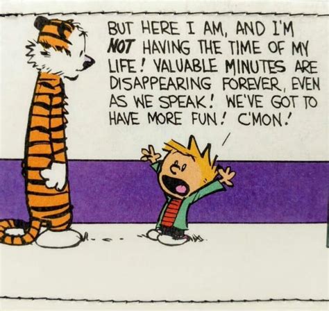 Calvin And Hobbes On Twitter Serier Citat