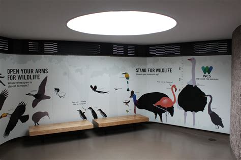 WOB 50th - How Do You Measure Up? - ZooChat