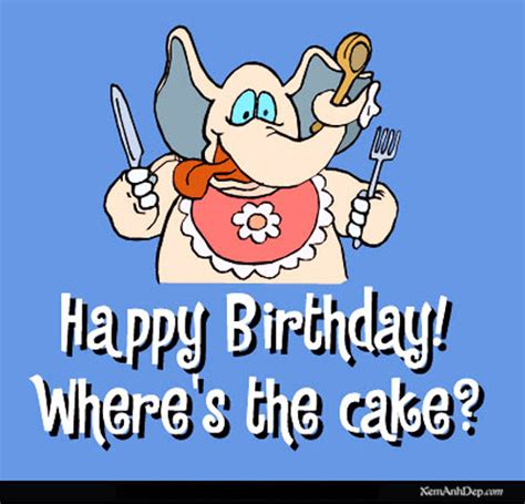 Happy Birthday Funny Pictures Lets Celebrate