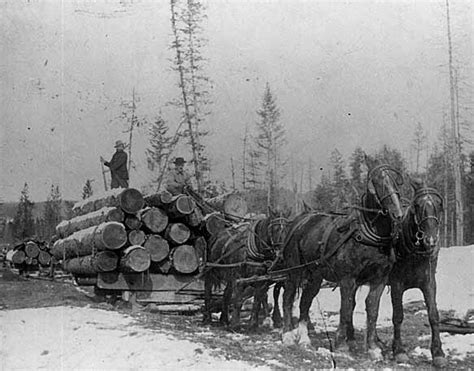 Early Logging Camps