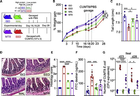 Environmental Enteric Dysfunction Induces Regulatory T Cells That Inhibit Local Cd4 T Cell