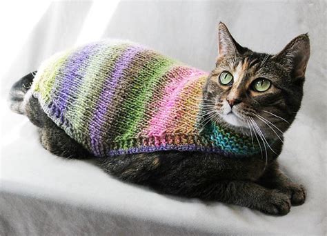 How To Make A Cat Sweater