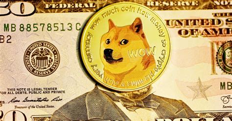 Why Is Dogecoin Falling And Will Doge Go Back Up After The Crash
