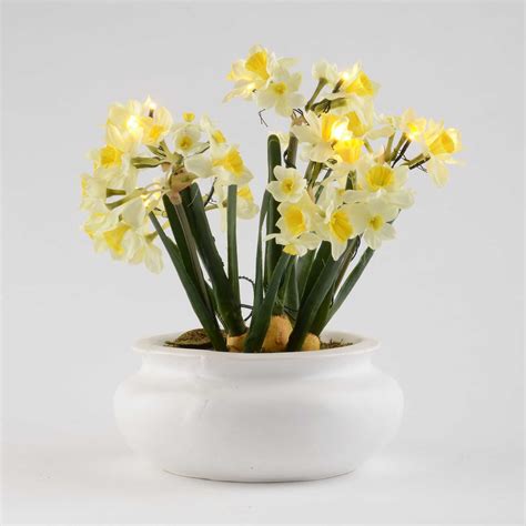 Pre Lit Potted Daffodil Arrangement With Timer Kirklands