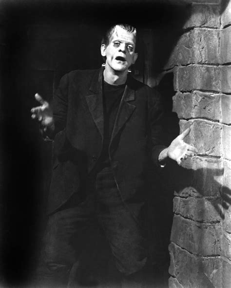 Frankenstein Stills Classic Movies Photo 19760821 Fanpop