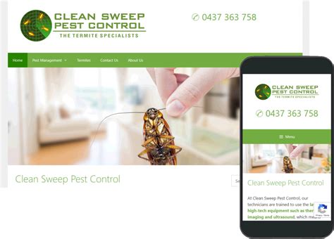 Keep in mind that the pests will find a way in even if you properly. Clean Sweep Pest Control | Rubidyn