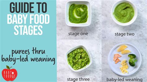 Guide To Baby Food Stages Youtube