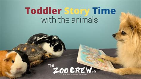 Virtual Event Toddler Story Time With The Animals Wednesdays At 9am