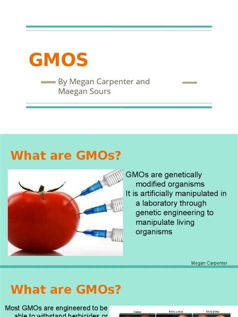 Gmo Pros Cons Poster Pdf Genetically Modified Organism Genetic