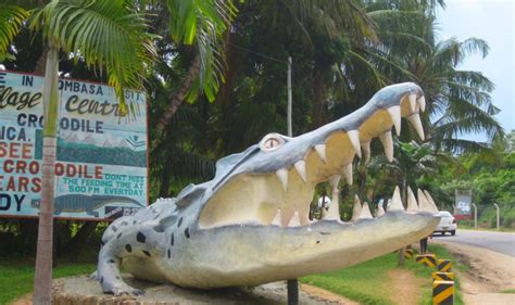 Photos Iconic Crocodile Sculpture Outside Mombasas Mamba Village