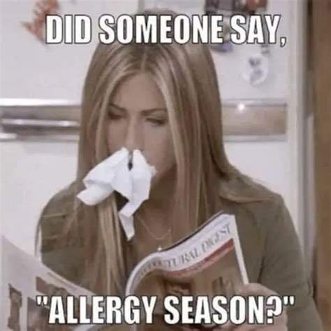 Seasonal Allergy Friends Allergypreventions Meme Allergy Preventions