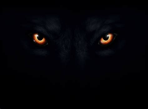 Werewolf The Old Ones And The Immortal Chronicles Wiki