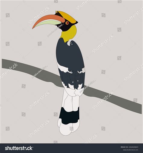 Illustration Rangkong Which One Typical Indonesian Stock Vector