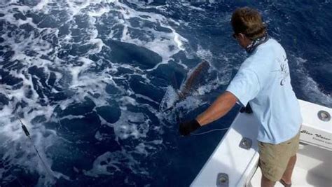 Bimini Offshore Fishing Forecast May 2012 Coastal Angler And The