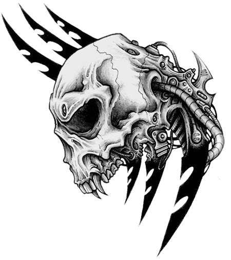 Tribal Skull Tattoos Png Transparent Images Png All