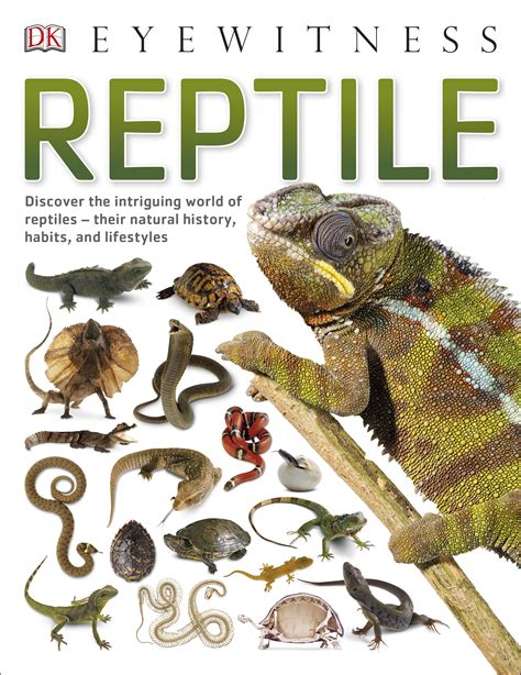 Eyewitness Reptile By Dk Penguin Books Australia