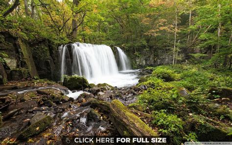 Forest Waterfalls 16309 Japan Landscape Landscape Forest Waterfall
